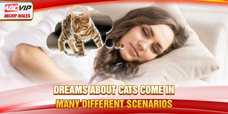 Dreams about cats come in many different scenarios